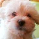 Yoly