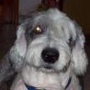 Facundo