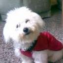 Homero