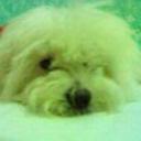 Yako