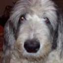 Facundo