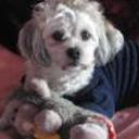 Cukie