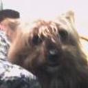 Lola
