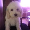 Luna valentina fermin perez