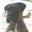 Camilo