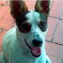 Blanquita