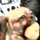 Chichi