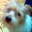 Felipe