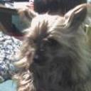 Lola