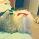 Princesa