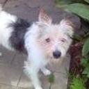 Felipe