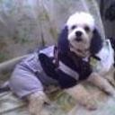 Zeús alejandro méndez