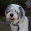 Facundo