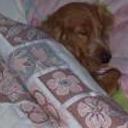Chary
