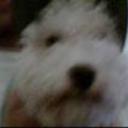 Camilo