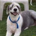 Facundo