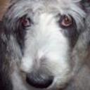 Facundo