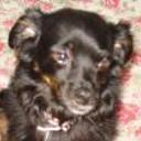 Negra