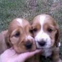 Lara y shirly