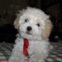 Duffy