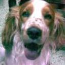 Coky