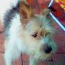 Felipe