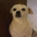 Minky