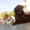 Mori y luna