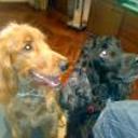 Lucky y boy