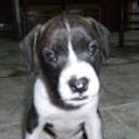 Kaiser