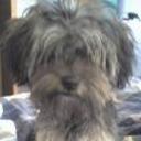 Lola