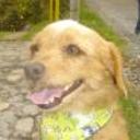 Jacobo