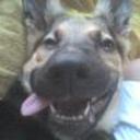 Pupy