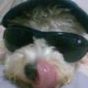 Chiky