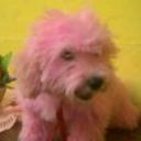 Chiky
