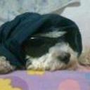 Chiky