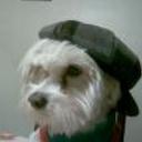 Bengie