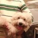 Brandy