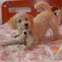 Tobby