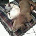 Chiquilin y layka
