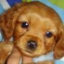 Tobias maximiliano aguero galeano