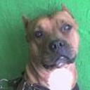 Kiler