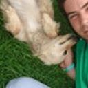 Pupi