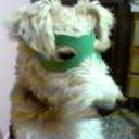 Rodri