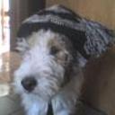 Rodri