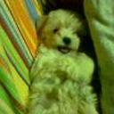 Nube