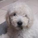 Snoopy