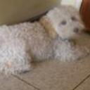 Timmy