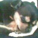 Chiky
