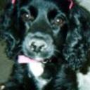 Chiki
